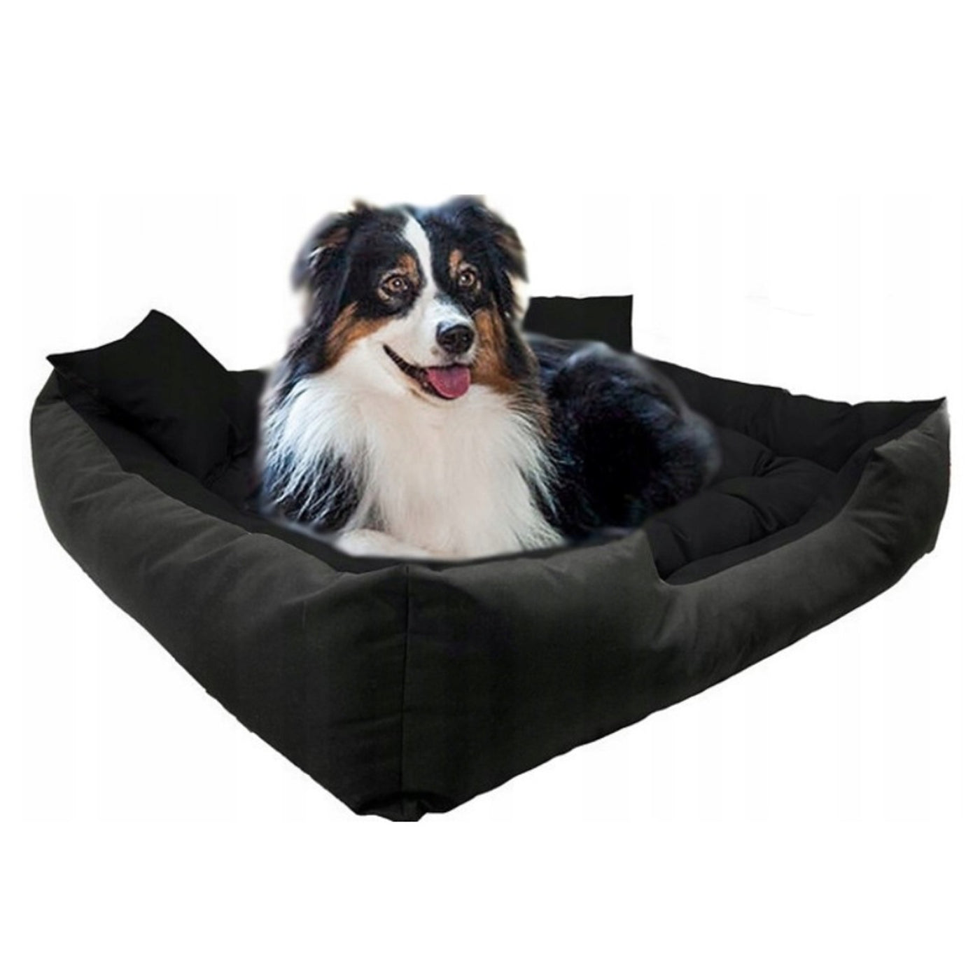 Cama KingDog Ecco para cães e gatos com almofada. Material impermeável lavável 55x45 cm cor preta