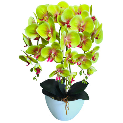 Orquídea de borracha artificial Damich com 3 ramos, verde, 3pgz